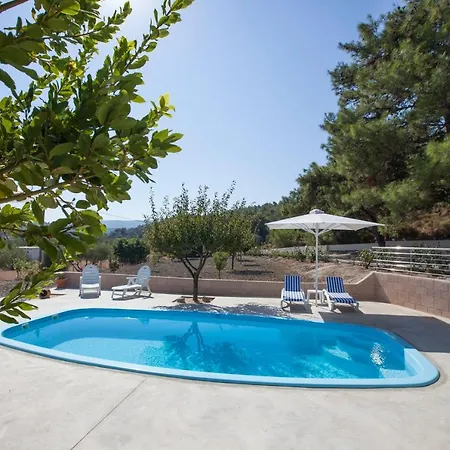 The Olive Grove Private Pool With Star Links Wifi