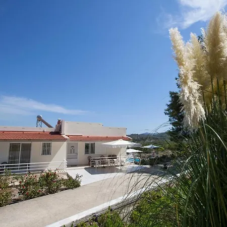 The Olive Grove Private Pool With Star Links Wifi Villa *